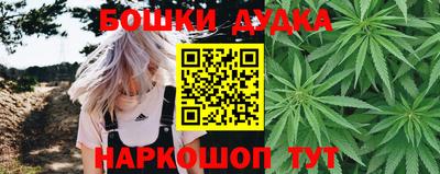 гидра Заволжье